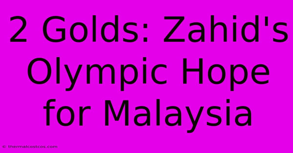 2 Golds: Zahid's Olympic Hope For Malaysia