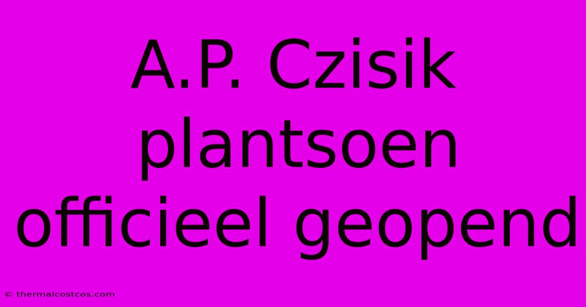 A.P. Czisik Plantsoen Officieel Geopend