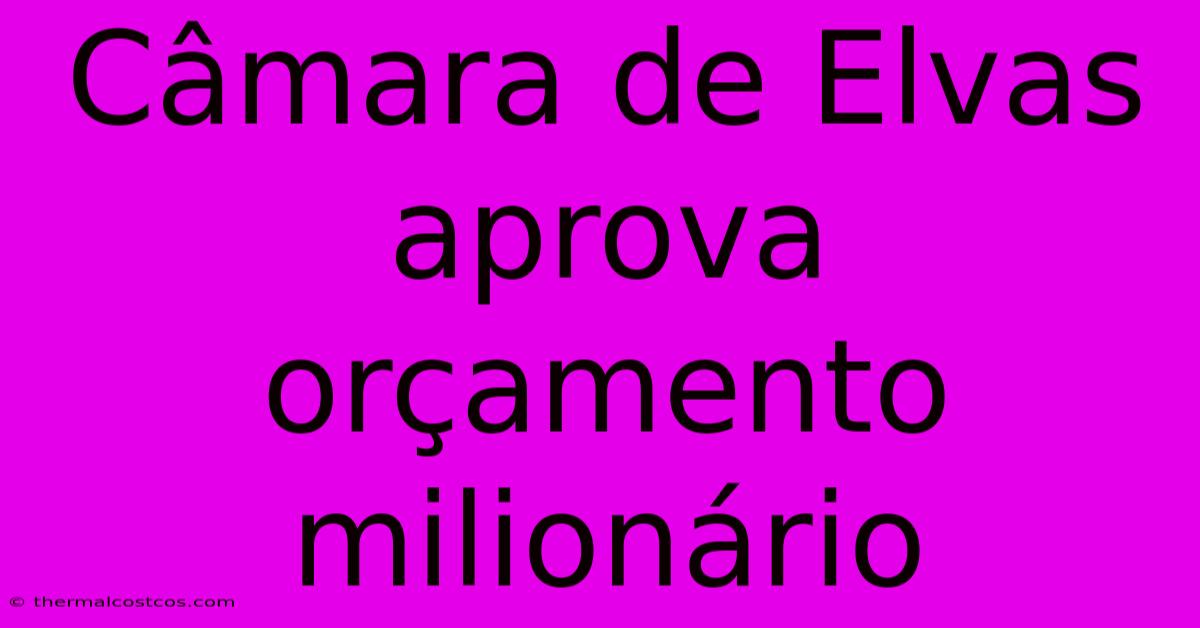 Câmara De Elvas Aprova Orçamento Milionário