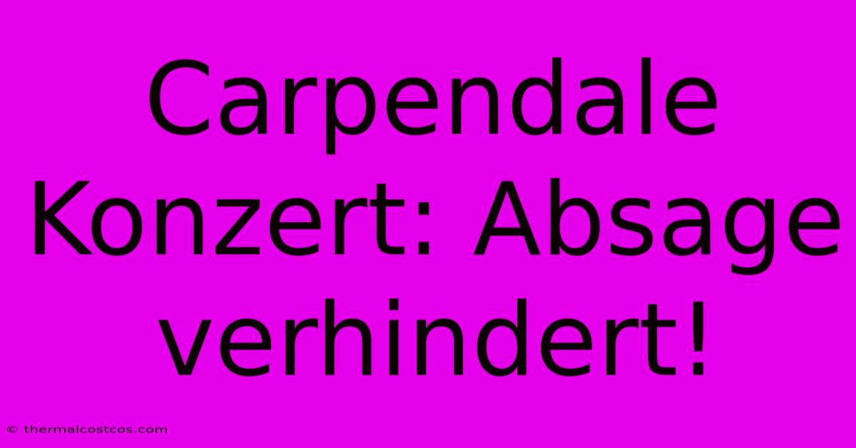 Carpendale Konzert: Absage Verhindert!