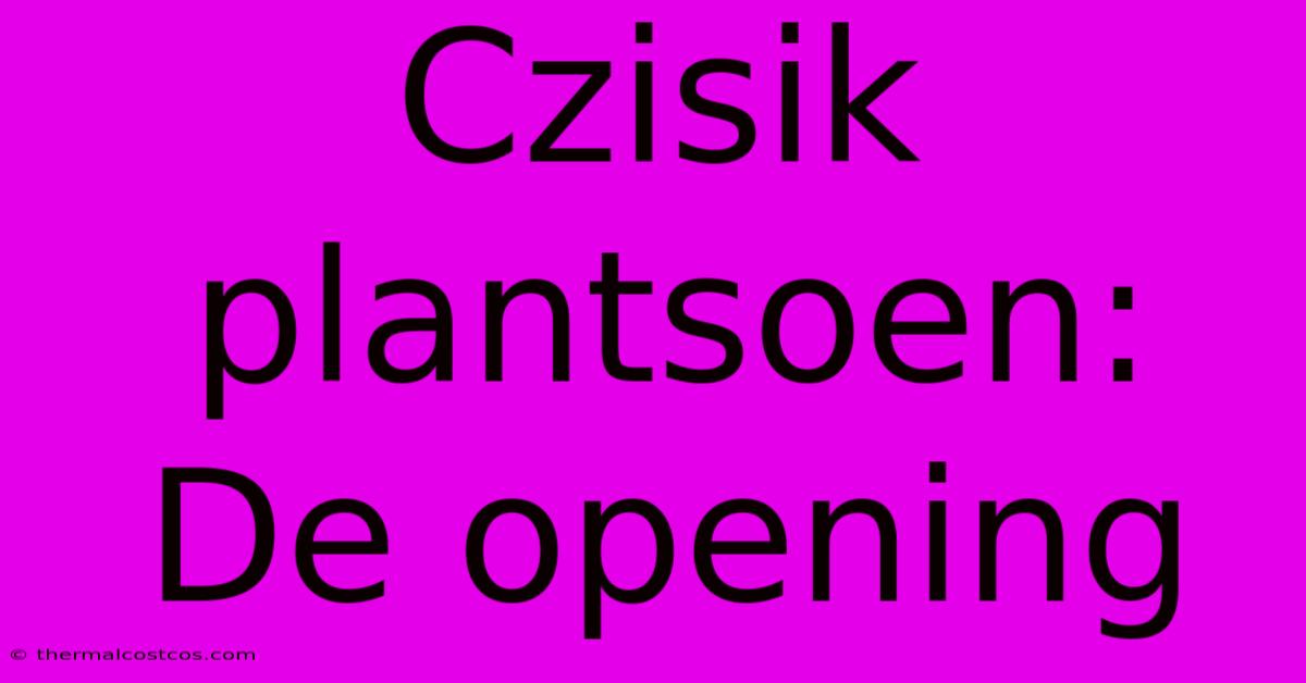 Czisik Plantsoen: De Opening