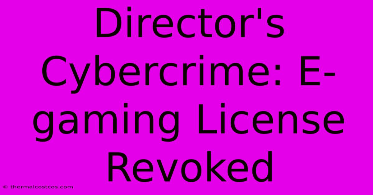 Director's Cybercrime: E-gaming License Revoked