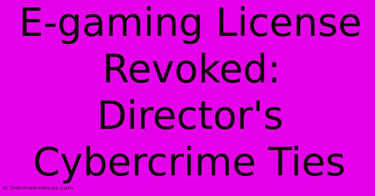 E-gaming License Revoked: Director's Cybercrime Ties