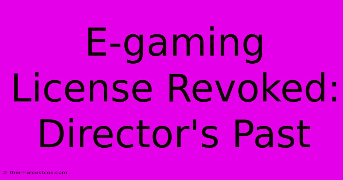 E-gaming License Revoked: Director's Past