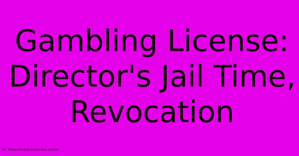 Gambling License: Director's Jail Time, Revocation