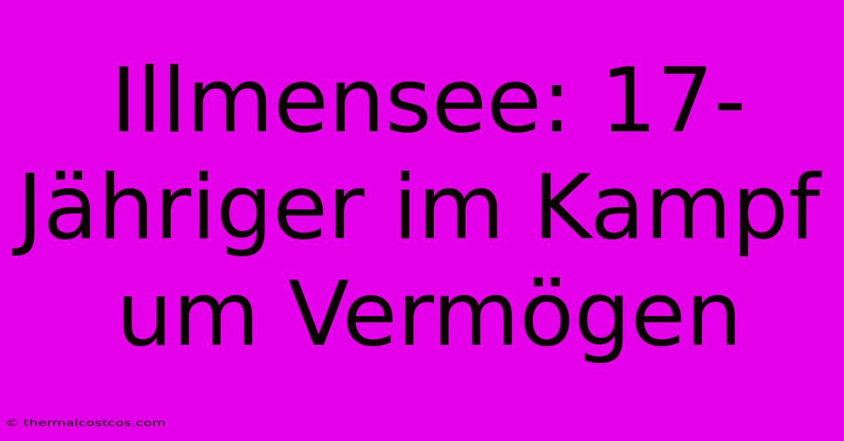 Illmensee: 17-Jähriger Im Kampf Um Vermögen