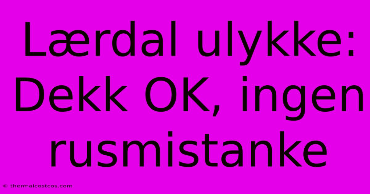 Lærdal Ulykke:  Dekk OK, Ingen Rusmistanke