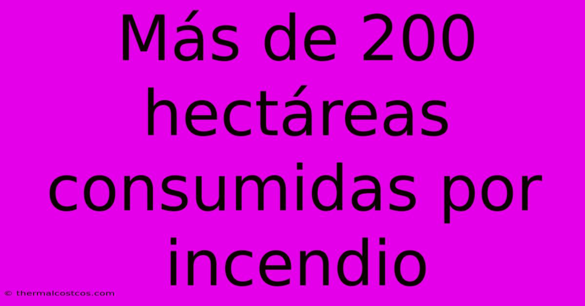 Más De 200 Hectáreas Consumidas Por Incendio