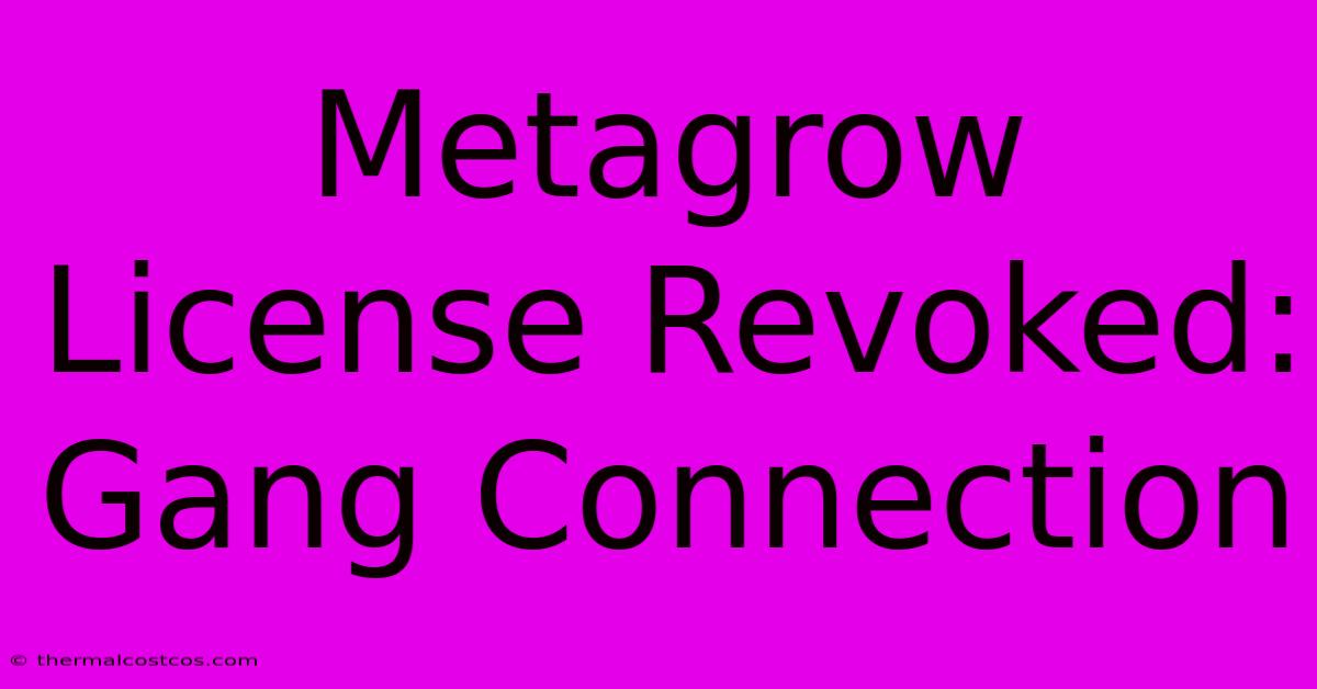 Metagrow License Revoked: Gang Connection