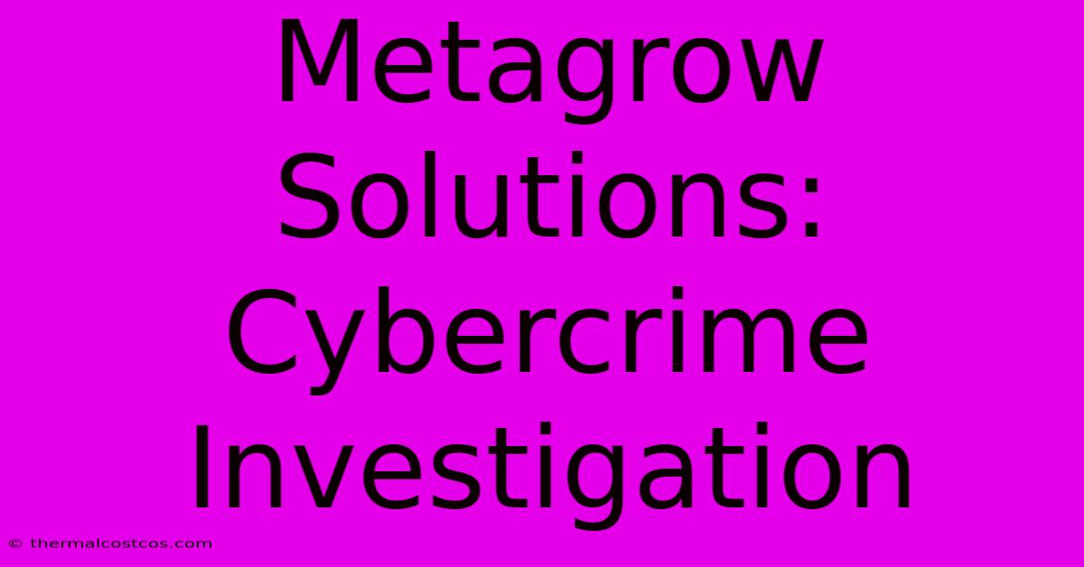 Metagrow Solutions: Cybercrime Investigation