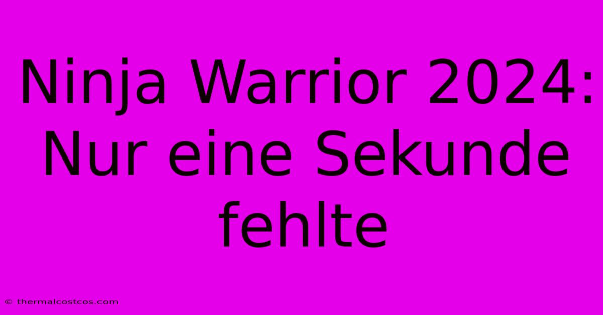 Ninja Warrior 2024: Nur Eine Sekunde Fehlte