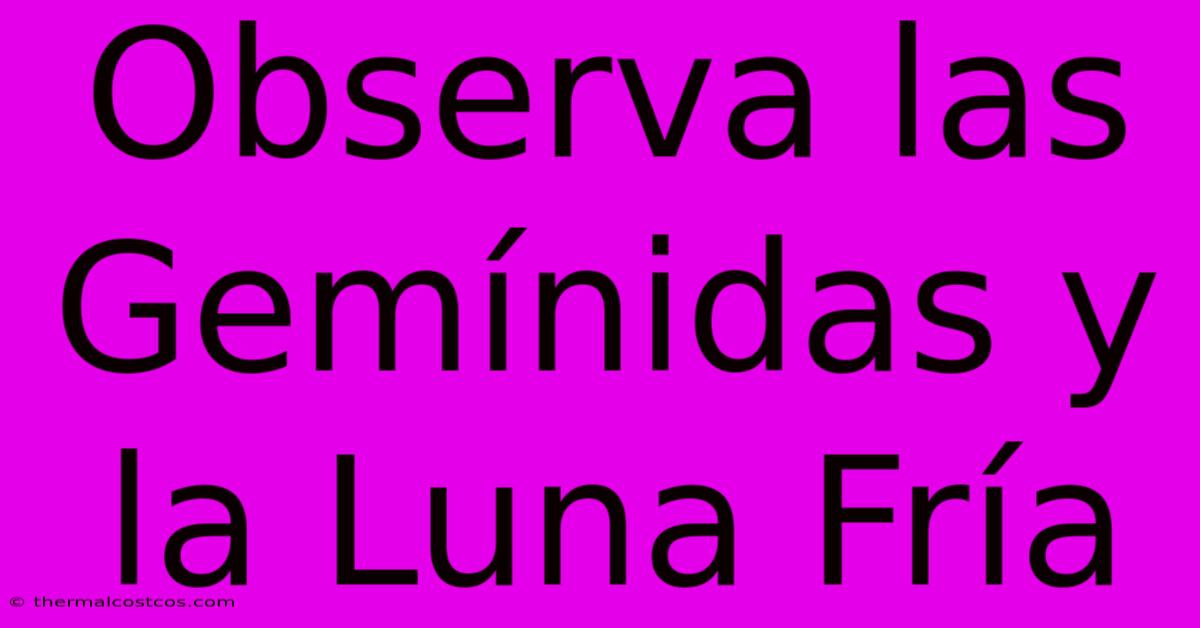 Observa Las Gemínidas Y La Luna Fría