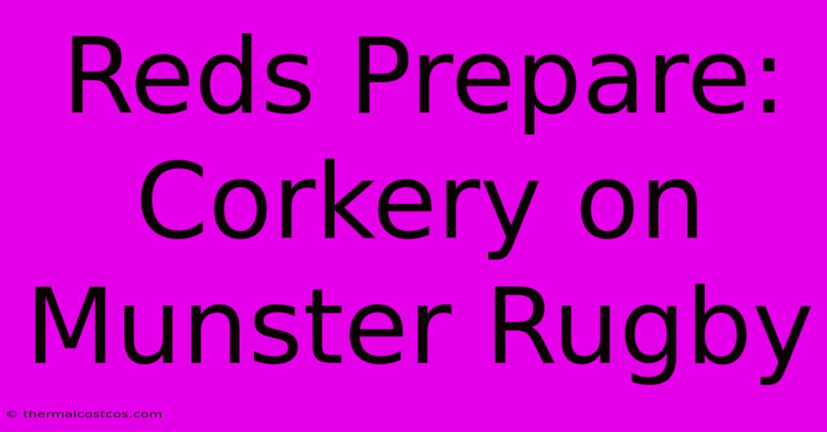 Reds Prepare: Corkery On Munster Rugby