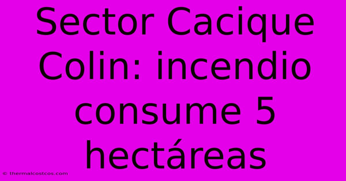 Sector Cacique Colin: Incendio Consume 5 Hectáreas