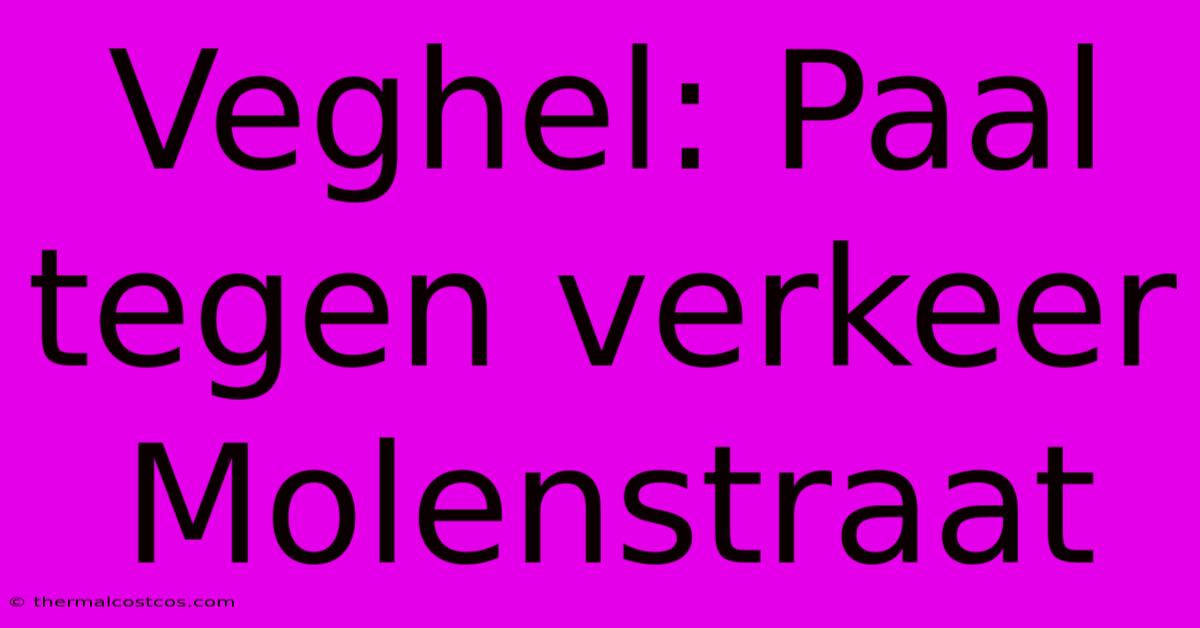 Veghel: Paal Tegen Verkeer Molenstraat