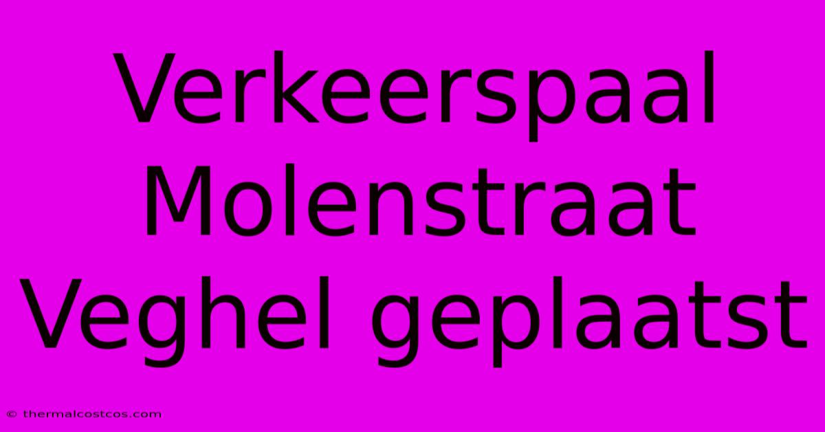 Verkeerspaal Molenstraat Veghel Geplaatst