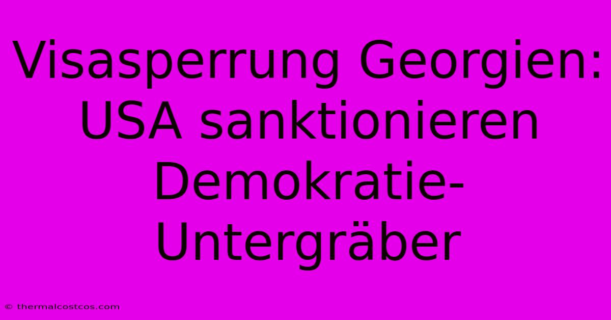 Visasperrung Georgien: USA Sanktionieren Demokratie-Untergräber