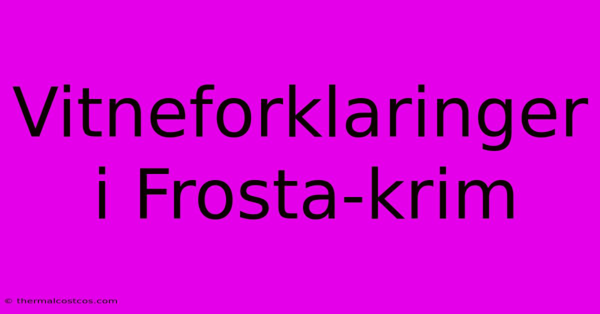 Vitneforklaringer I Frosta-krim